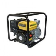 Motopompa Progarden PB225C