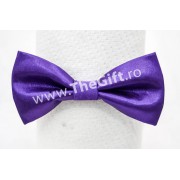 Papion din satin, culori moderne