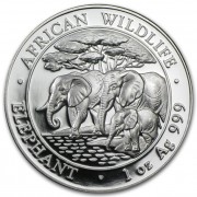 Bavorská mincovna stříbrná mince 100 Schillings Elephant (Slon africký) 1 Oz 2013 African Wildlife Series