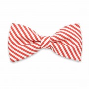 Férfi pillangó Willsoor 4378