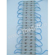 Modul 3 Leduri SMD impermeabile 12V